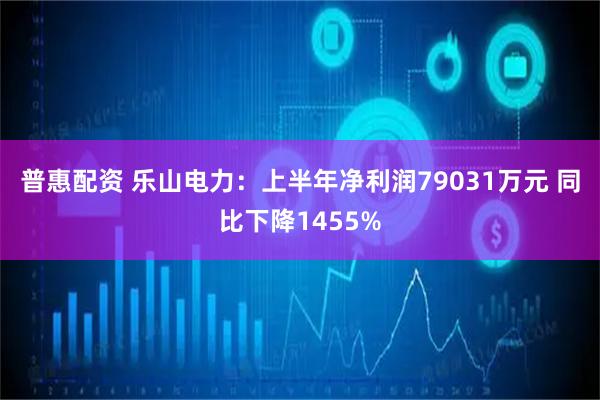 普惠配资 乐山电力：上半年净利润79031万元 同比下降1455%