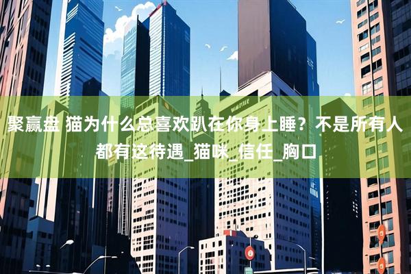 聚赢盘 猫为什么总喜欢趴在你身上睡？不是所有人都有这待遇_猫咪_信任_胸口